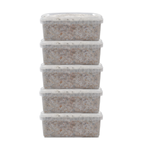 Buy Magic Mushroom Grow Kit for Controlled Mycological Cultivation