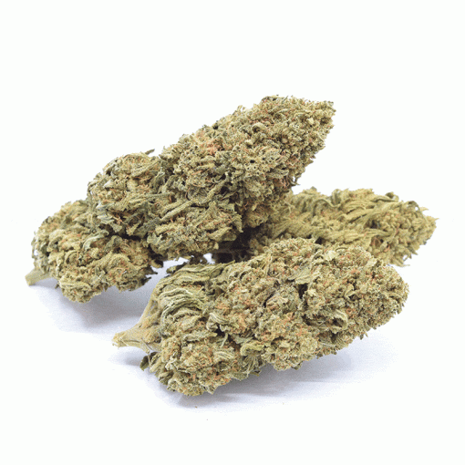 Buy Apple Punch CBD Flower Online